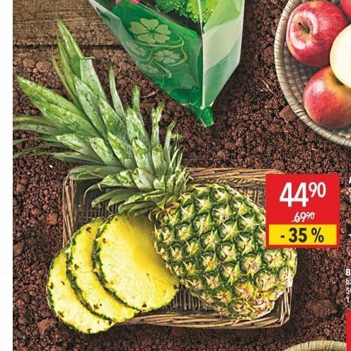 Ananas velký celý 1 ks