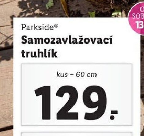 Parkside® Samozavlažovací truhlík (60 cm)