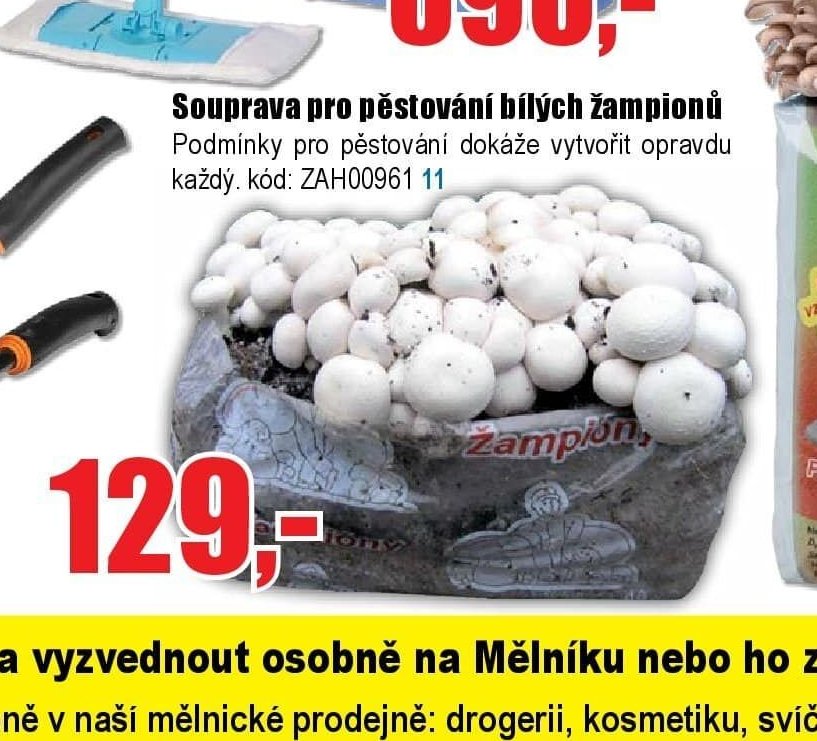 Souprava pro pěstování bílých žampionů