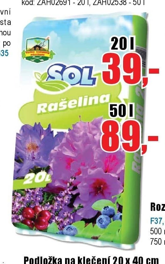 Rašelina