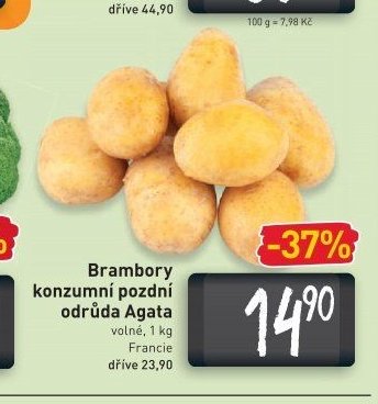 Brambory konzumní pozdní odrůda Agata