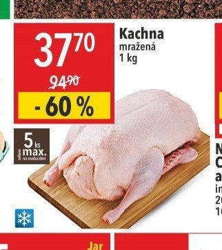 Kachna mražená