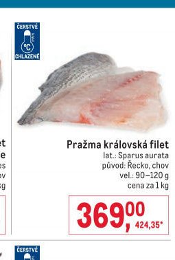 Pražma královská filet