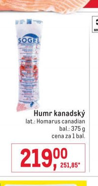 Humr kanadský