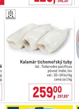 Kalamár tichomořský tuby