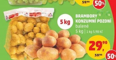 Brambory konzumní pozdní