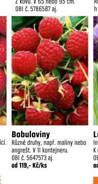 Bobuloviny