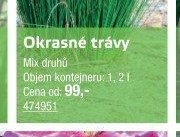 Okrasné trávy - UNI HOBBY akcniletaky.com