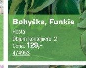 Bohýška, Funkie - UNI HOBBY akcniletaky.com