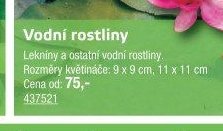 Vodní rostliny - UNI HOBBY akcniletaky.com