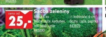 Sadba zeleniny - UNI HOBBY akcniletaky.com