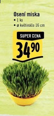 Osení miska