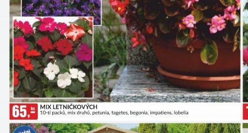 Mix letničkových 10-ti packů, mix druhů, petunie, tagetes, begonia, impatiens, lobelia