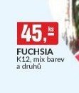 FUCHSIA - bauMax akcniletaky.com