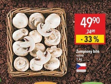 Žampiony bílé