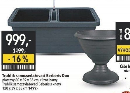 Truhlík samozavlažovací Berberis Duo
