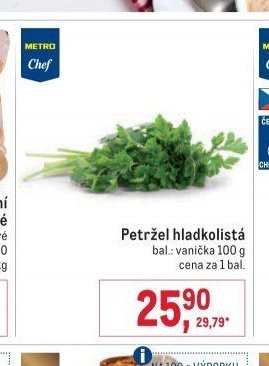 Petržel hladkolistá