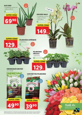 akční leták Lidl 5.4.2021-11.4.2021