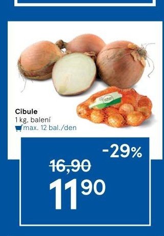 Cibule