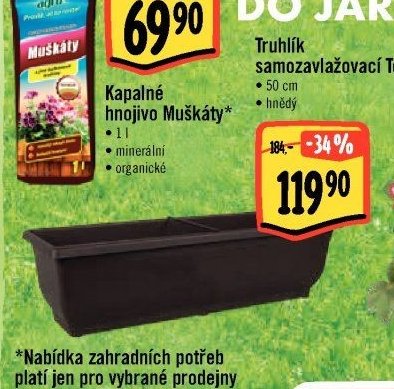 Truhlík samozavlažovací Torenie