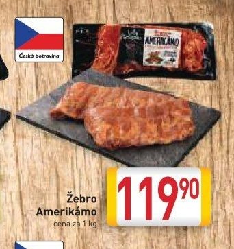 Žebro Amerikámo