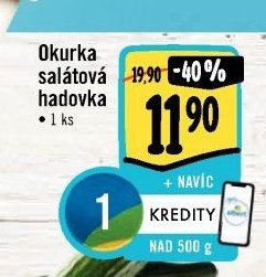 Okurka salátová hadovka