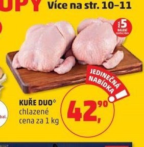KUŘE DUO