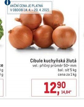 Cibule kuchyňská žlutá