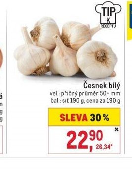 Česnek bílý
