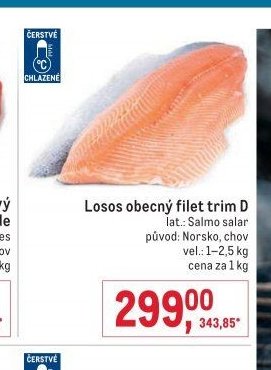 Losos obecný filet trim D