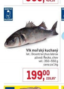 Vlk mořský kuchaný