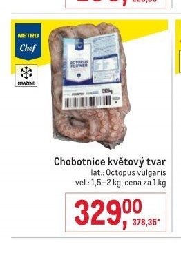 Chobotnice květový tvar
