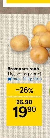 Brambory rané