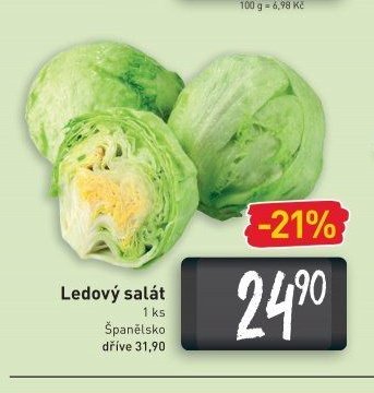 Ledový salát