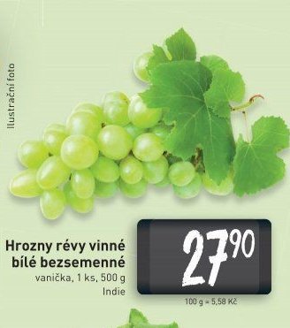 Hrozny révy vinné bílé bezsemenné