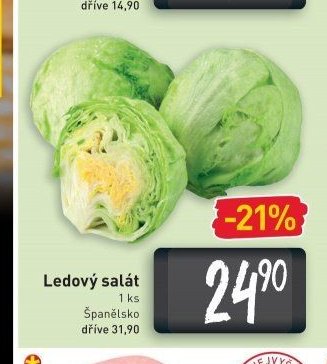 Ledový salát