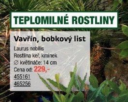 Vavřín, bobkový list - UNI HOBBY akcniletaky.com