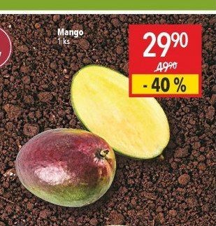 Mango
