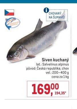 Siven kuchaný