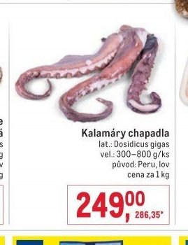 Kalamáry chapadla