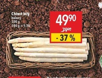 Chřest bílý