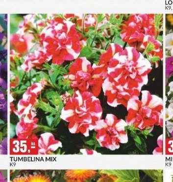 TUMBELINA MIX - bauMax akcniletaky.com
