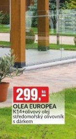 OLEA EUROPEA K14+olivový olej středomořský olivovník s dárkem - bauMax akcniletaky.com