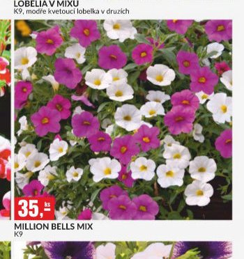MILLION BELLS MIX