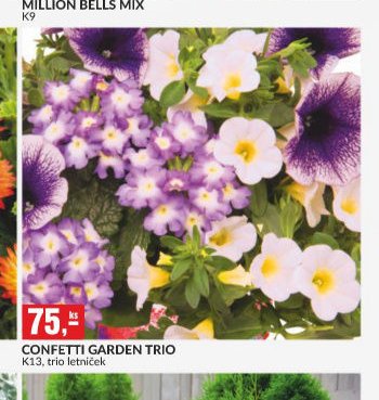 CONFETTI GARDEN TRIO
