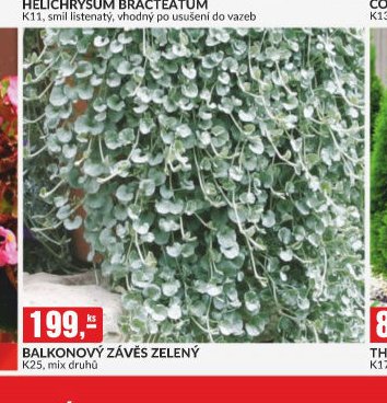 BALKONOVÝ ZÁVĚS ZELENÝ