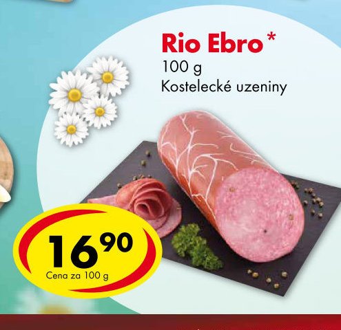 Rio Ebro*
