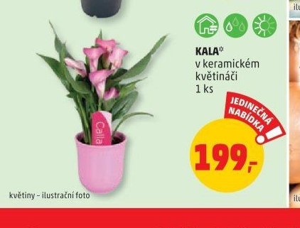 KALA