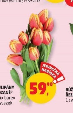 TULIPÁNY ŘEZANÉ mix barev