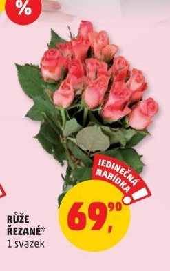 RŮŽE ŘEZANÉ 1 svazek